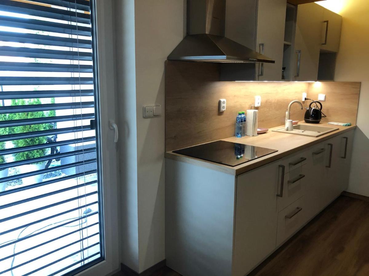 Anico Apartmany Dolni Benesov Eksteriør billede